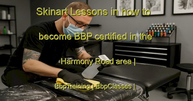 Skinart Lessons in how to become BBP certified in the Harmony Road area | BbpTraining | BbpClasses | SkinartTraining-Canada